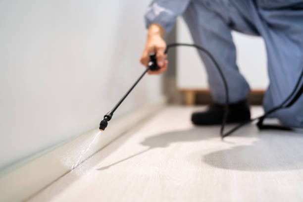 Licensed Pest Control service in Monticello, IA - Show Me Pest Control