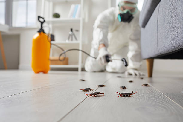 Commercial Rodent Management in Monticello